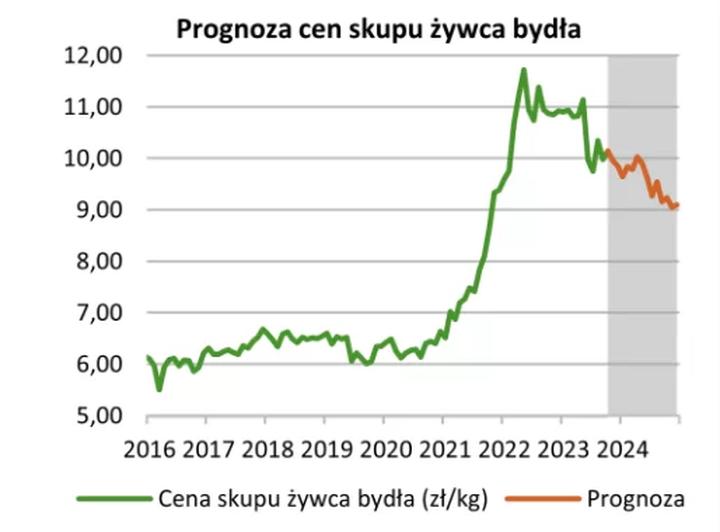 Przyszłość rynku mięsa