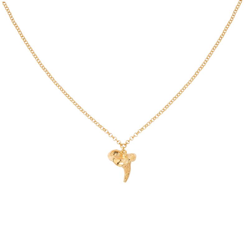 Metody rozmrażania grzybów