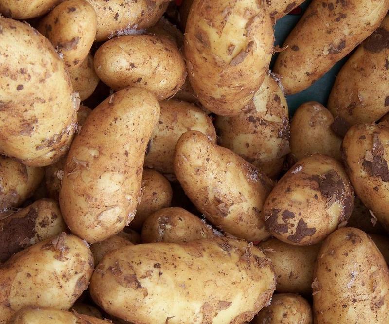 Przepisy na sałatki ziemniaczane