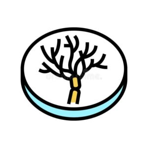 Rozmrażanie grzybów do zupy – najważniejsze wskazówki, aby uniknąć kulinarnych wpadek