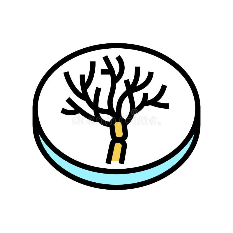 Rozmrażanie grzybów do zupy – najważniejsze wskazówki, aby uniknąć kulinarnych wpadek