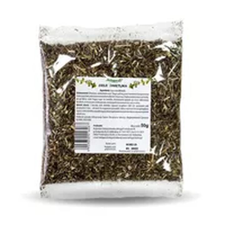 Zioła na ból głowy