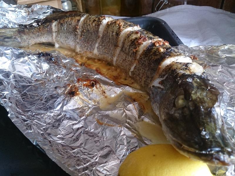 Sposoby na soczystego szczupaka w piekarniku – odkryj pełnię smaku!