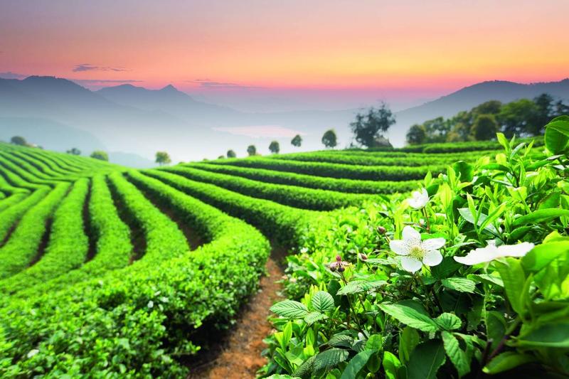 Zaskakujące smaki i aromaty z okna