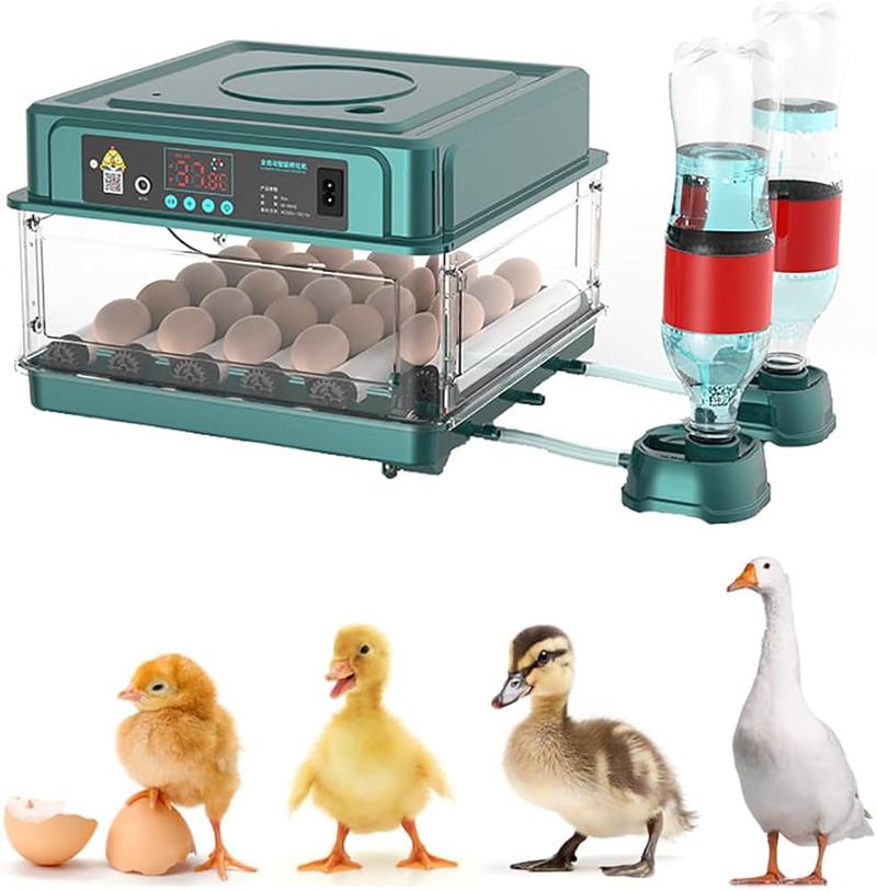 Optymalny czas wyjęcia kurczaków