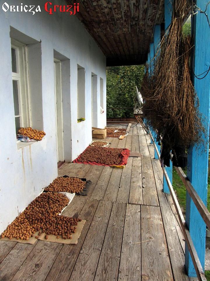 Optymalne warunki suszenia orzechów