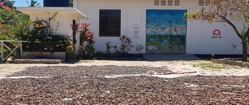 Temperatura i czas suszenia orzechów